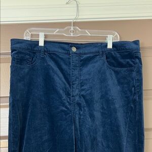LOFT Crushed Velvet Dark Blue Pants Size 34 I 18